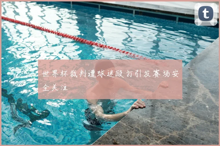 世界杯裁判遭球迷殴打引发赛场安全关注