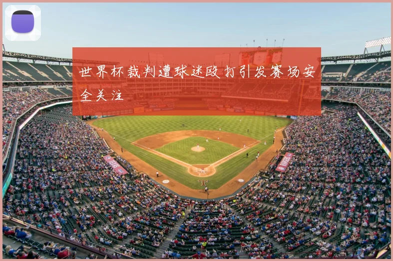 世界杯裁判遭球迷殴打引发赛场安全关注